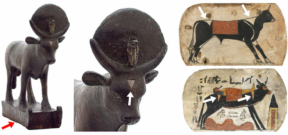 Apis Bull Deity of Ancient Egypt